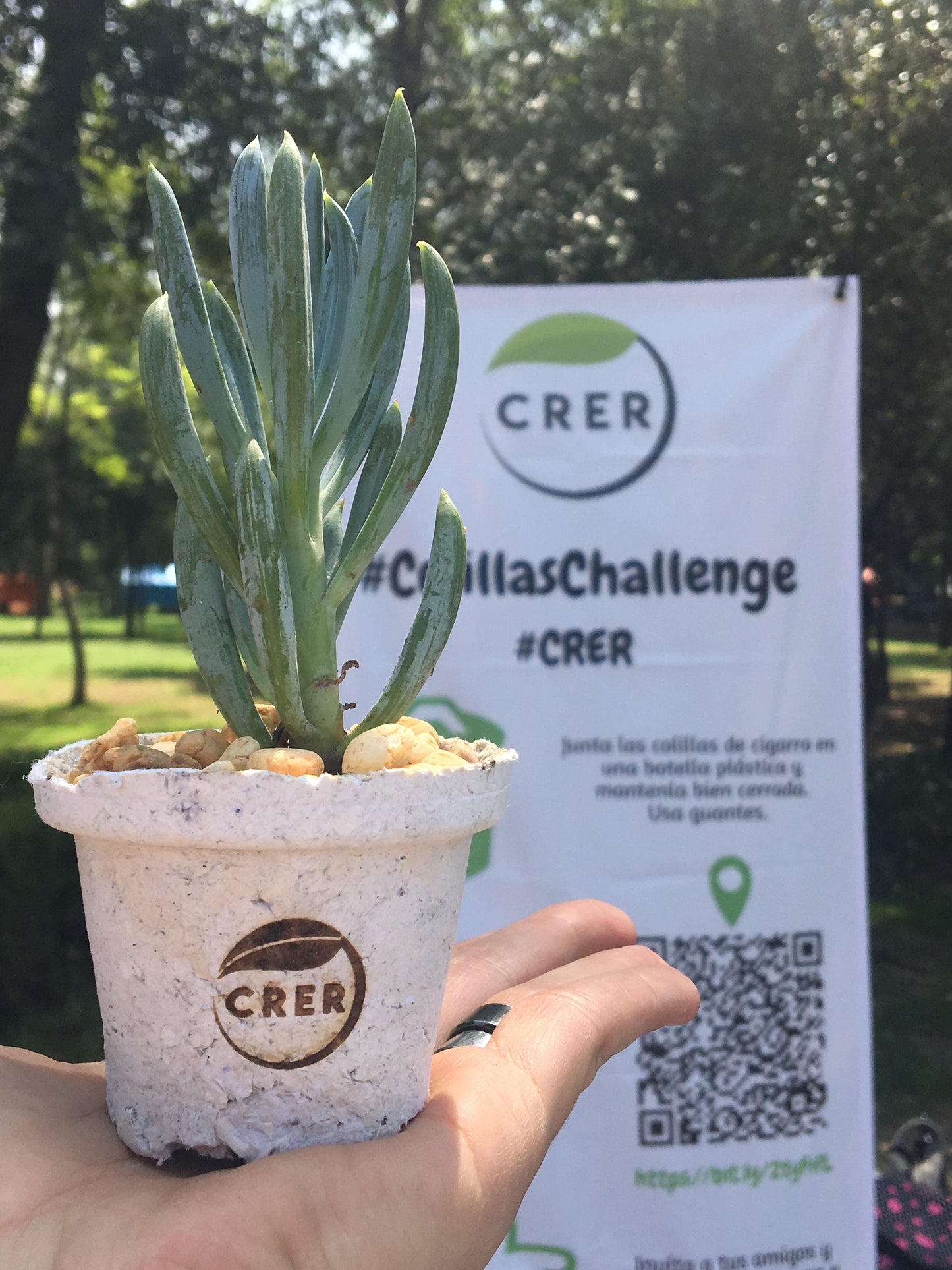 Maceta de Papel Biodegradable