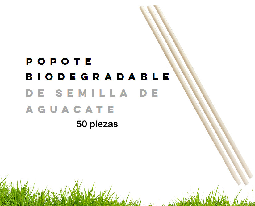 Popotes Biodegradables de Semilla de Aguacate.